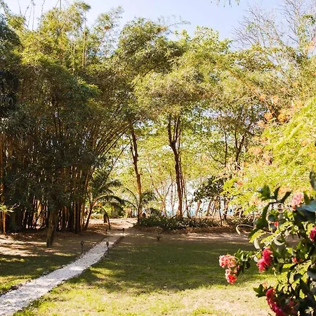Villas Almendros Playa Santa Teresa  Exterior photo