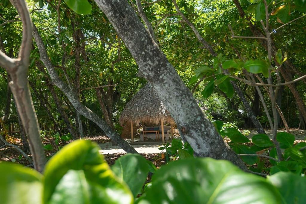 Almendros Playa Santa Teresa (Puntarenas)